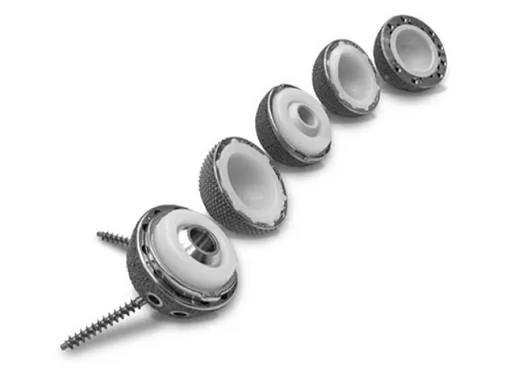 Ceramic bearing options for total hip replacement, Adelaide