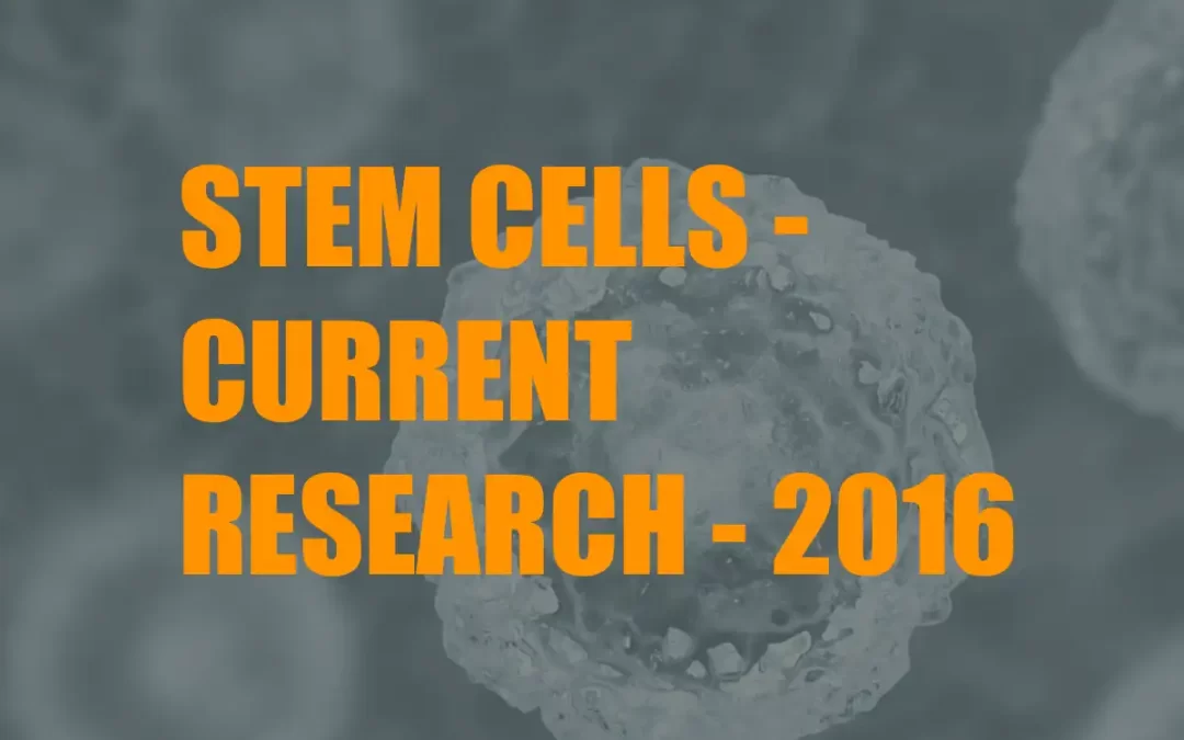 Stem Cells – What is the current research saying